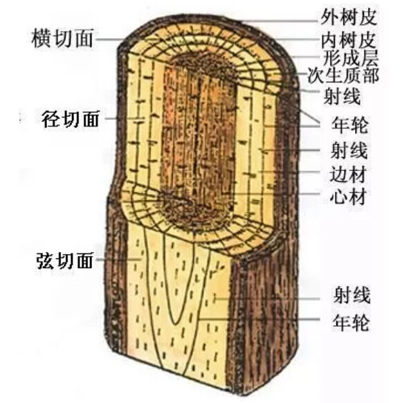 实木家具有色差正常吗！实木家具色差有原因！