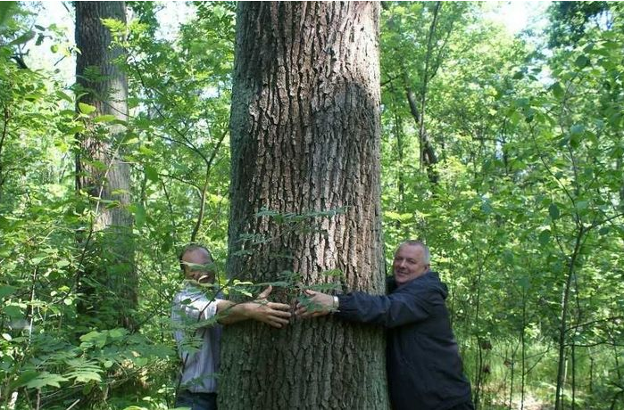 实木家具的特点是不是缺陷！完全没有色差的实木家具你敢要吗？