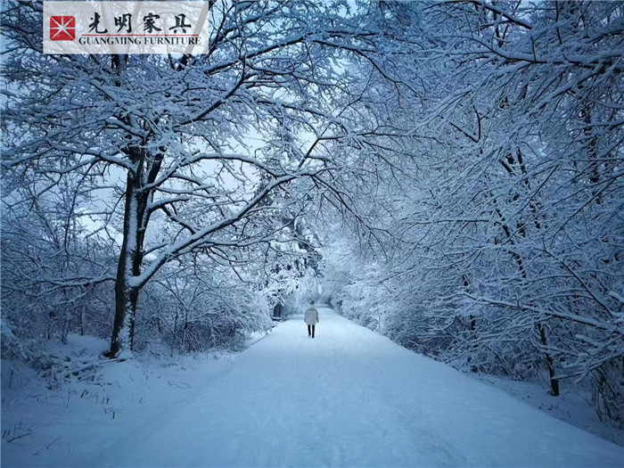 看了《青山不墨》引发了网友们对“爬犁”的热议