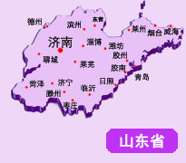 山东省实体店